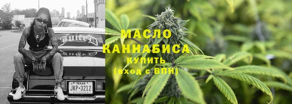 амф Бородино