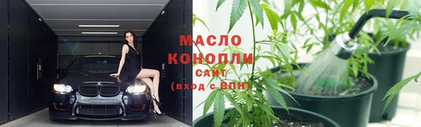 spice Богородицк