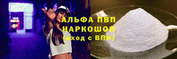 spice Богородицк