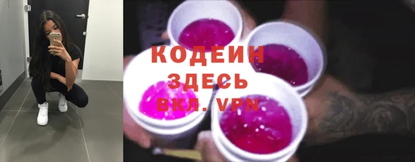 индика Покров