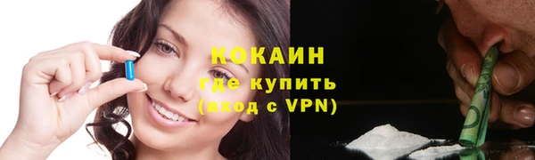 spice Богородицк