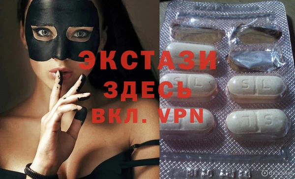 spice Богородицк