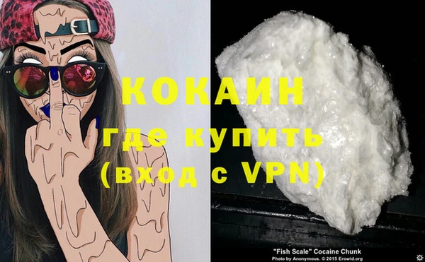 spice Богородицк