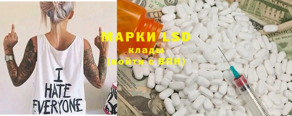 spice Богородицк