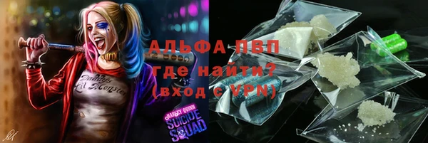 spice Богородицк