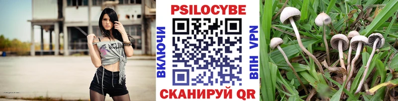 цена наркотик  hydra ССЫЛКА  Галлюциногенные грибы Cubensis  Наволоки 